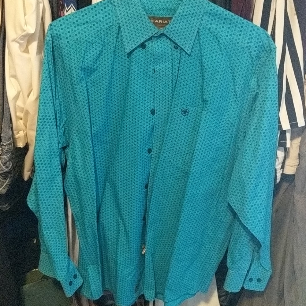 Ariat Men's button down LG